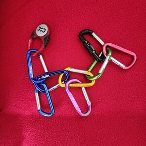 Colorful Carabiner Keychain Set (9)